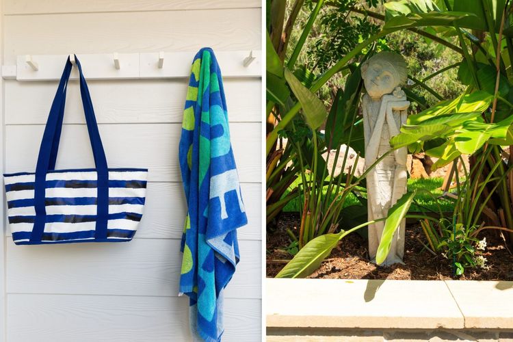 Nautilus at Hyams Beach