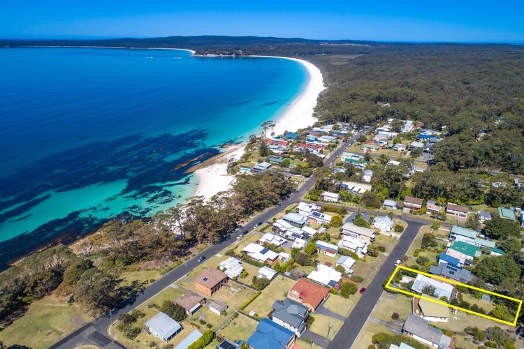 Palmwood at Hyams Beach