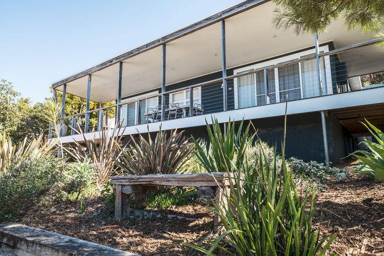 Palmwood at Hyams Beach