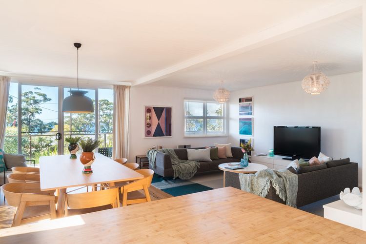 Palmwood at Hyams Beach