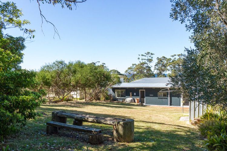 Palmwood at Hyams Beach