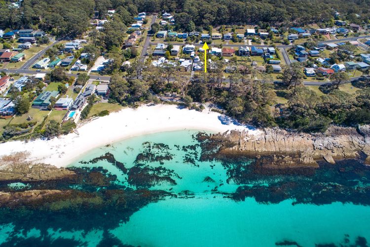 Palmwood at Hyams Beach