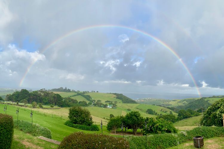Saddleback Grove, Kiama