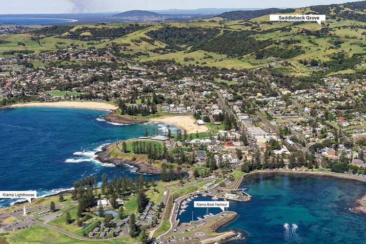 Saddleback Grove, Kiama