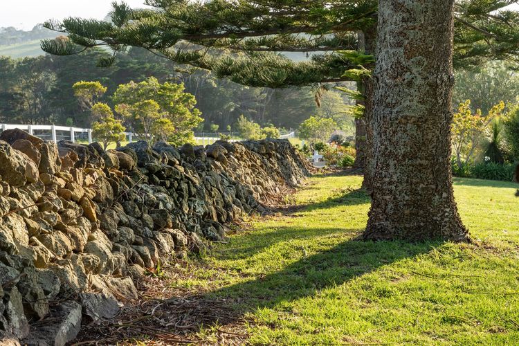 Saddleback Grove, Kiama