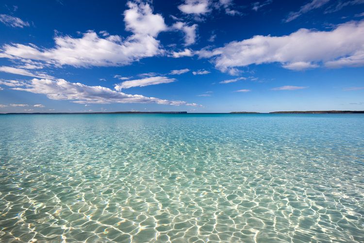 Saltwood at Hyams Beach