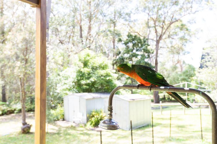 The Sanctuary, Vincentia