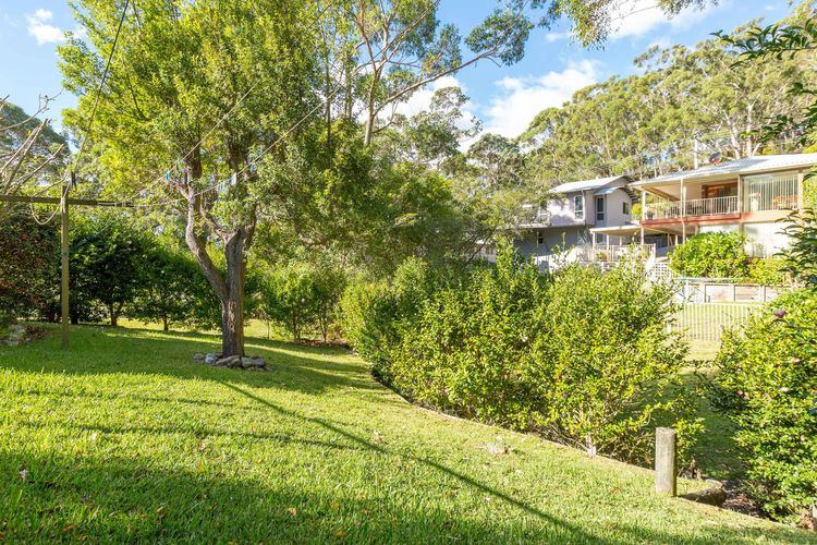 Shanti at Hyams Beach