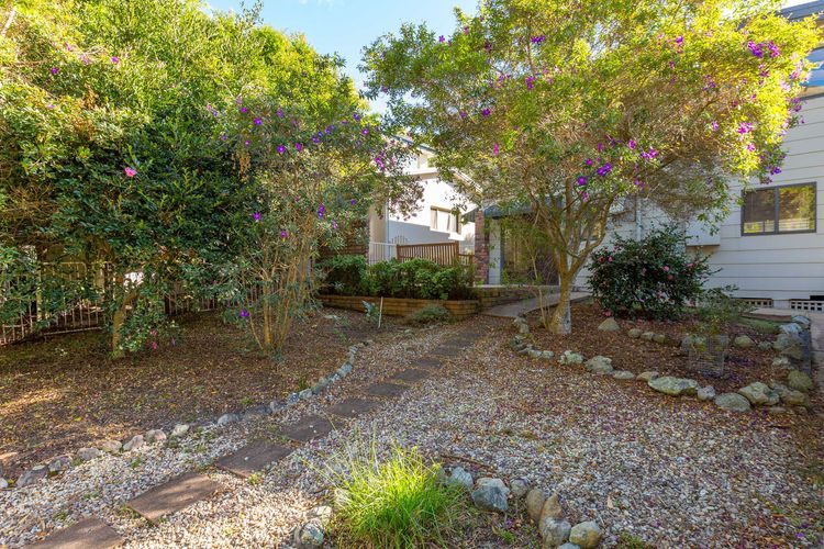 Shanti at Hyams Beach