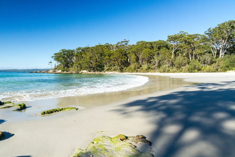 Bay Breeze at Blenheim Beach, Vincentia