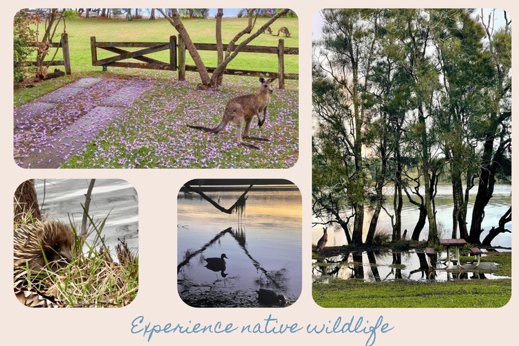Lakehouse at Erowal Bay