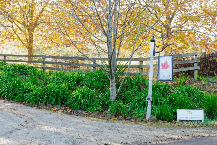 The Tor, Southern Highlands