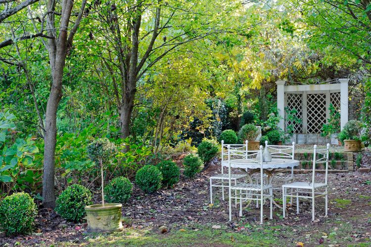 The Tor, Southern Highlands