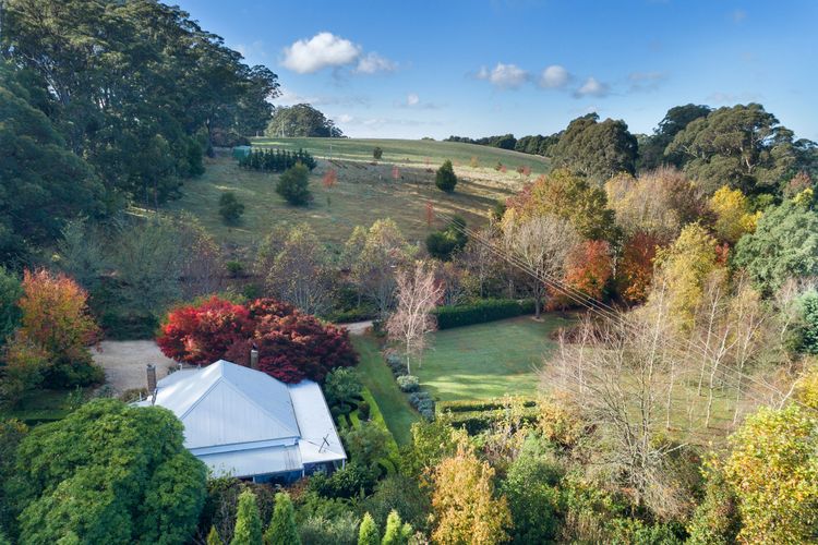 The Tor, Southern Highlands