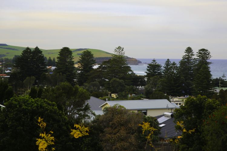 The Werri Shack, Gerringong