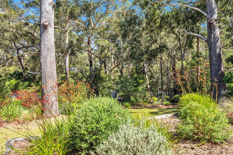 Treetops in Vincentia