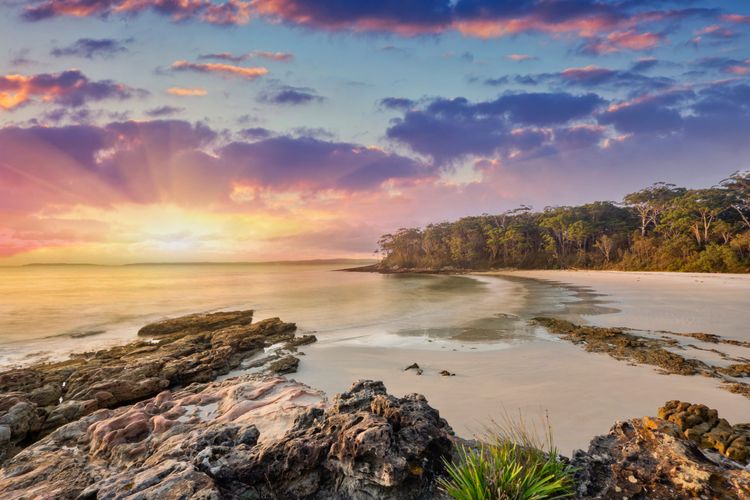 Treetops in Vincentia