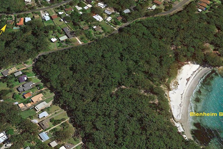 Treetops in Vincentia