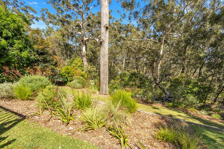 Treetops in Vincentia