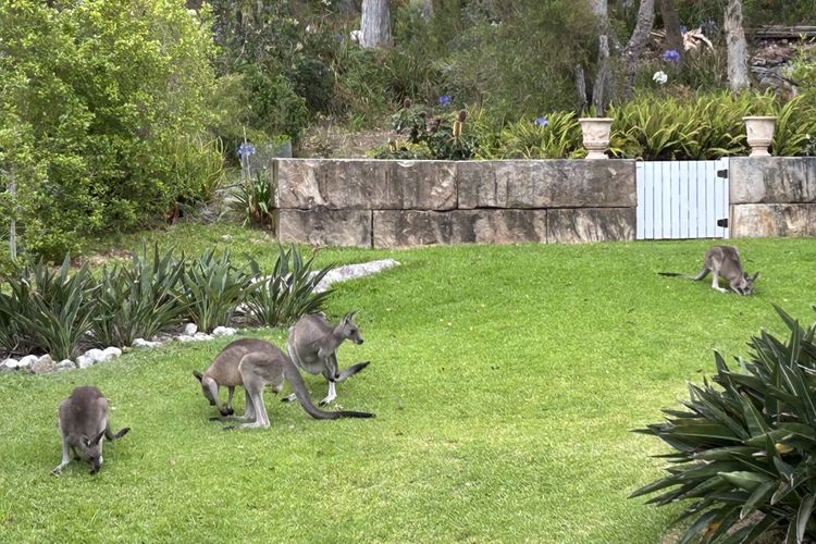 Unwind at Hyams Beach