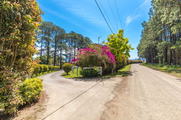 Whispering Pines House,  Far Meadow, Berry