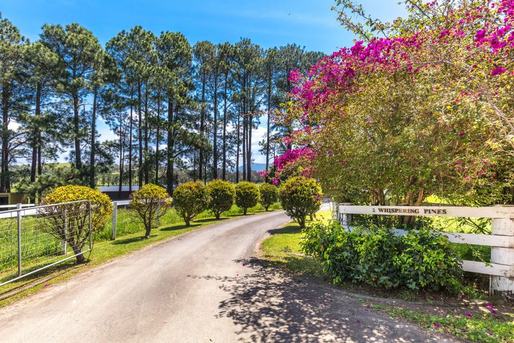 Whispering Pines House + Cottage, Far Meadow, Berry