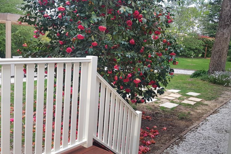 Kirriemuir – Burradoo, Southern Highlands