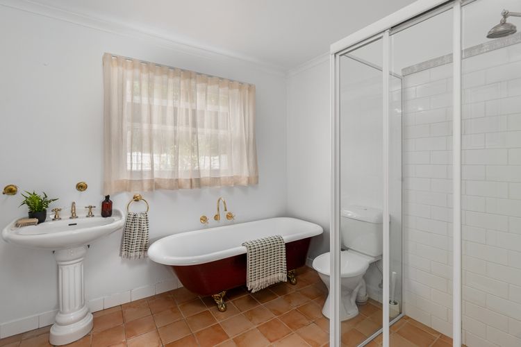 Little Forest, Alpine, Southern Highlands