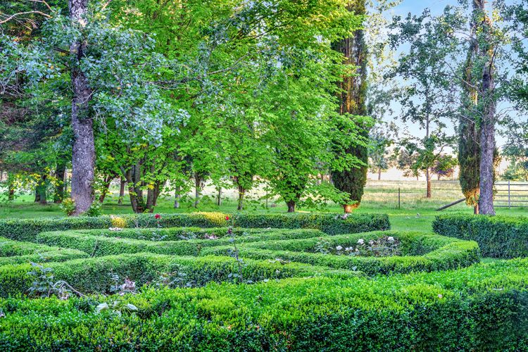 Normandie Park, Exeter