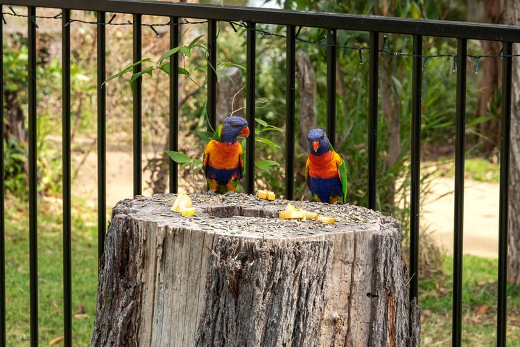 Orion Blue Beach Stay, Vincentia