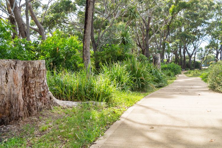 Orion Blue Beach Stay, Vincentia