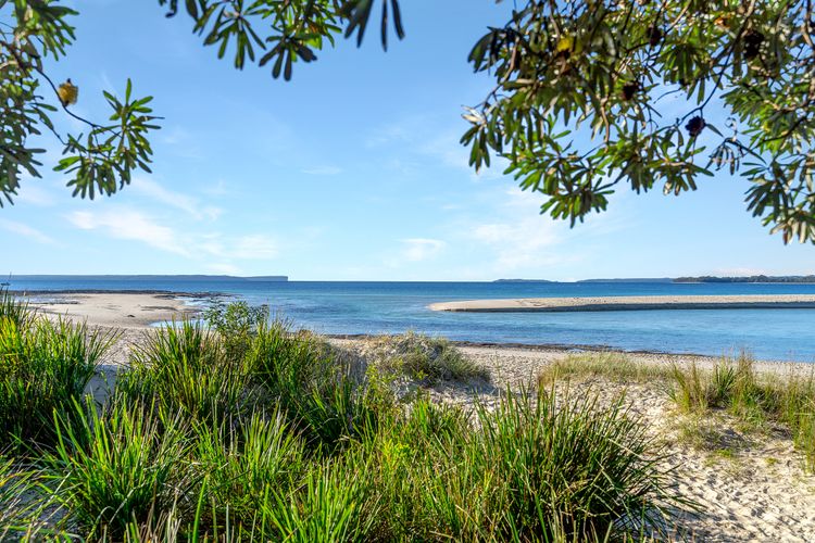 Sandalwood at Huskisson