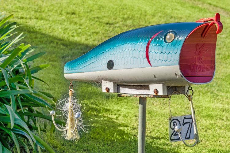 Seven Smiles, Gerroa