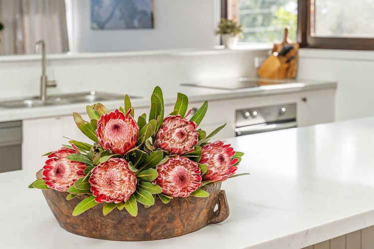 Seven Smiles, Gerroa