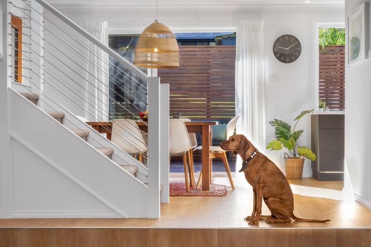 Birdsong at Hyams Beach