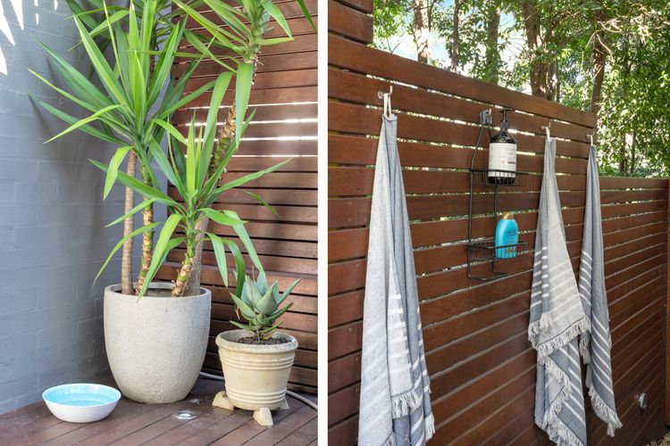 Birdsong at Hyams Beach