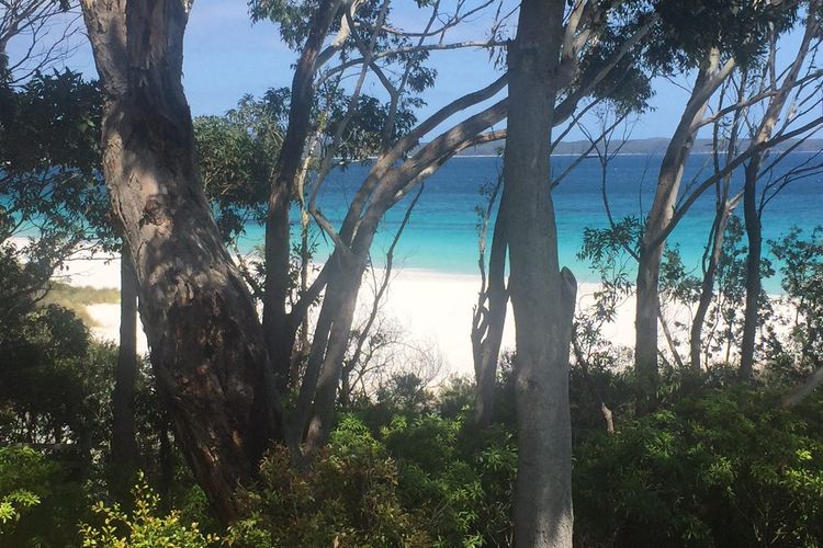 Black Shack on Hyams Beach
