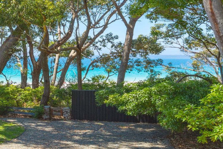 Black Shack on Hyams Beach