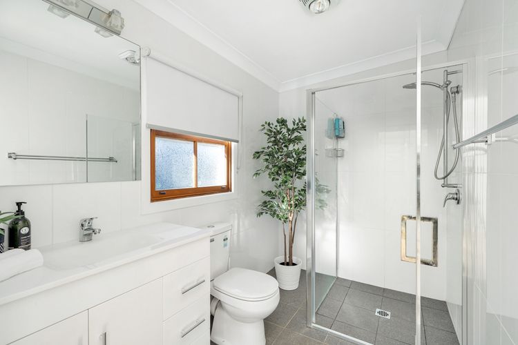 The Blue Whale, Kiama