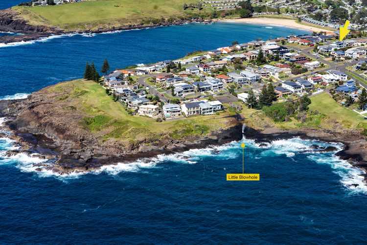The Blue Whale, Kiama