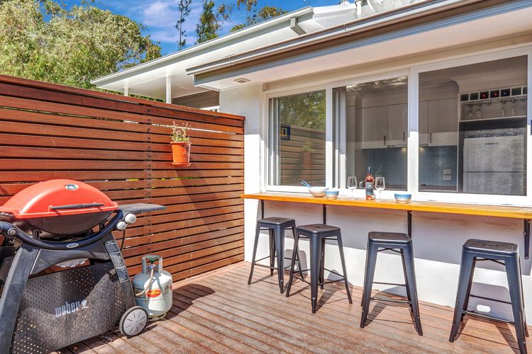 Black Wattle at Hyams Beach