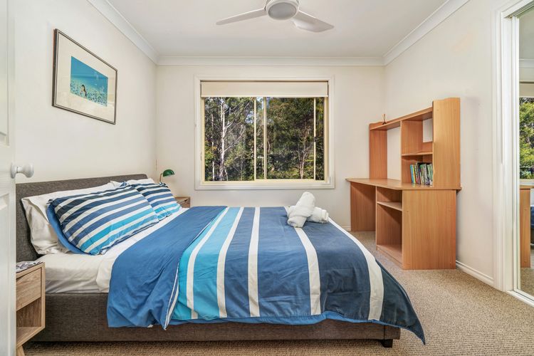 Black Wattle at Hyams Beach