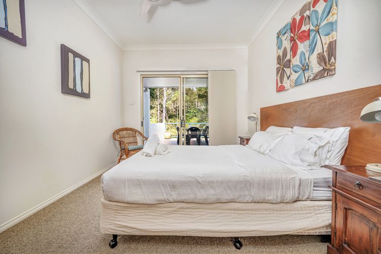 Black Wattle at Hyams Beach