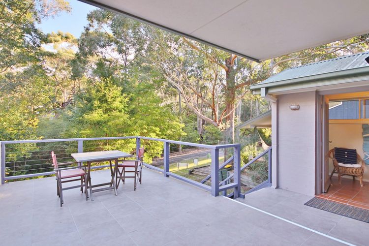 Black Wattle at Hyams Beach