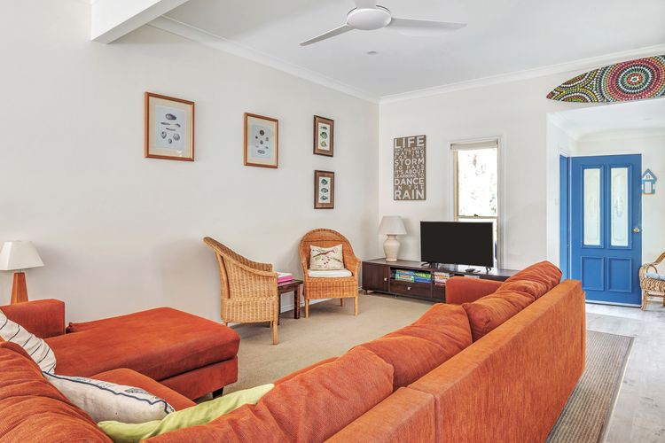 Black Wattle at Hyams Beach