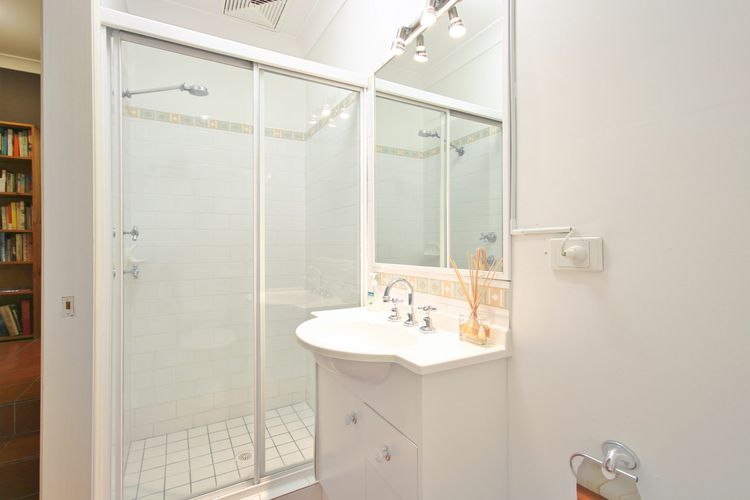 Black Wattle at Hyams Beach