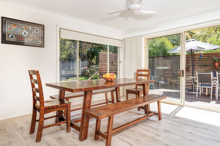 Black Wattle at Hyams Beach