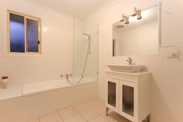 Black Wattle at Hyams Beach