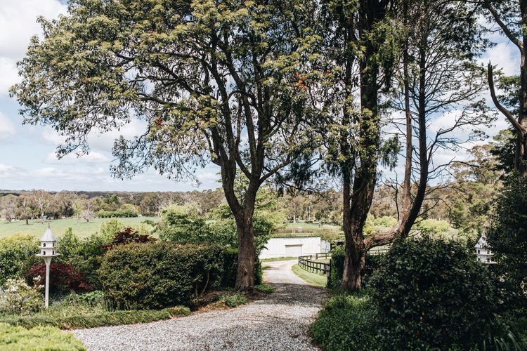 Daisy Hill, Southern Highlands