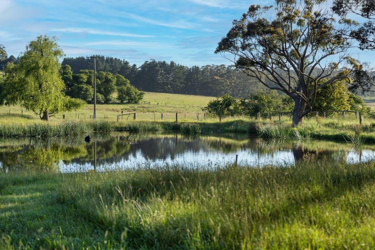 Daisy Hill, Southern Highlands